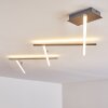 Lacure Ceiling Light LED matt nickel, 5-light sources