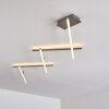 Lacure Ceiling Light LED matt nickel, 5-light sources