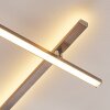 Lacure Ceiling Light LED matt nickel, 5-light sources