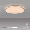 Leuchten Direkt lights KYLE ceiling light LED silver, 1-light source