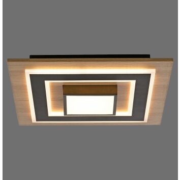 Leuchten Direkt lights TOLA ceiling light LED brown, black, 2-light sources