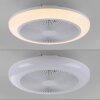 Leuchten Direkt lights mit Ceiling fan light LED white, 1-light source, Remote control