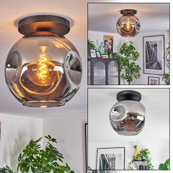 Ripoll ceiling light, globe light Smoke-coloured, 1-light source