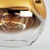 Ripoll ceiling light, globe light gold, clear, 1-light source