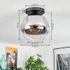 Ripoll ceiling light, globe light chrome, clear, Smoke-coloured, 1-light source