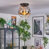 Ripoll ceiling light, globe light chrome, clear, Smoke-coloured, 1-light source