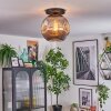 Ripoll ceiling light, globe light Smoke-coloured, 1-light source