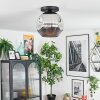Ripoll ceiling light, globe light chrome, Smoke-coloured, 1-light source