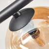 Chehalis ceiling light, globe light Amber, clear, 4-light sources