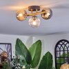 Chehalis ceiling light, globe light gold, black, 3-light sources