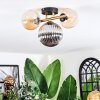 Chehalis ceiling light, globe light gold, black, 3-light sources