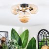 Chehalis ceiling light, globe light gold, black, 3-light sources