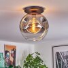 Ripoll ceiling light, globe light clear, Smoke-coloured, 1-light source