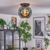 Ripoll ceiling light, globe light blue, 1-light source