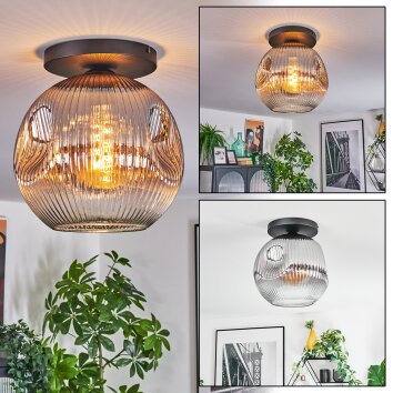 Ripoll ceiling light, globe light clear, Smoke-coloured, 1-light source