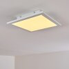 Nexo Ceiling Light LED white, 1-light source, Remote control