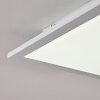 Nexo Ceiling Light LED white, 1-light source, Remote control