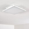 Nexo Ceiling Light LED white, 1-light source, Remote control