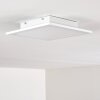 Nexo Ceiling Light LED white, 1-light source, Remote control