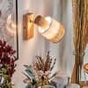 Fallhagen wall light, wall spotlight chrome, Light wood, 1-light source