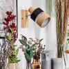 Fallhagen wall light, wall spotlight chrome, Light wood, 1-light source