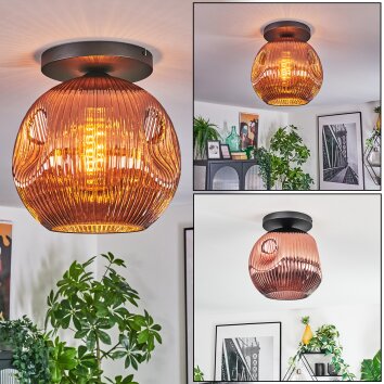 Ripoll ceiling light, globe light coppery, 1-light source