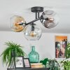 Ripoll ceiling light, globe light Amber, clear, Smoke-coloured, 3-light sources