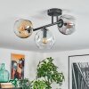 Ripoll ceiling light, globe light Amber, clear, Smoke-coloured, 3-light sources