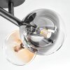 Chehalis ceiling light, globe light Amber, clear, Smoke-coloured, 4-light sources