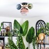 Chehalis ceiling light, globe light gold, black, 3-light sources