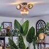 Chehalis ceiling light, globe light gold, black, 3-light sources