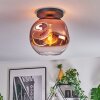 Ripoll ceiling light, globe light clear, coppery, 1-light source