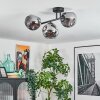 Ripoll ceiling light, globe light Smoke-coloured, 3-light sources