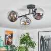 Ripoll ceiling light, globe light chrome, clear, Smoke-coloured, 3-light sources