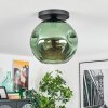 Ripoll ceiling light, globe light green, 1-light source