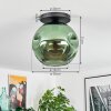 Ripoll ceiling light, globe light green, 1-light source