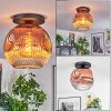 Ripoll ceiling light, globe light clear, coppery, 1-light source