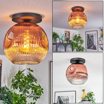 Ripoll ceiling light, globe light clear, coppery, 1-light source