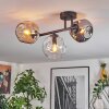 Ripoll ceiling light, globe light Amber, clear, Smoke-coloured, 3-light sources