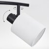 Fallhagen ceiling light, ceiling spotlight black, 2-light sources