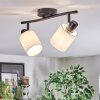 Fallhagen ceiling light, ceiling spotlight black, 2-light sources
