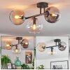 Koyoto ceiling light, globe light Amber, clear, Smoke-coloured, 3-light sources