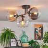 Koyoto ceiling light, globe light Amber, clear, Smoke-coloured, 3-light sources