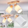 Fallhagen ceiling light, ceiling spotlight chrome, Light wood, 2-light sources
