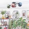 Chehalis ceiling light, globe light blue, chrome, green, coppery, Smoke-coloured, 4-light sources