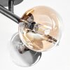 Chehalis ceiling light, globe light Amber, clear, Smoke-coloured, 4-light sources