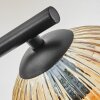 Ripoll ceiling light, globe light Amber, clear, Smoke-coloured, 3-light sources