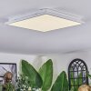 Raimea ceiling light, Panel LED white, 1-light source