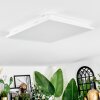 Raimea ceiling light, Panel LED white, 1-light source