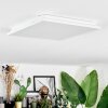 Raimea ceiling light, Panel LED white, 1-light source